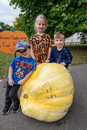 NJ Soham recreation groundSoham Pumpkin Fair. Picture by Mark W