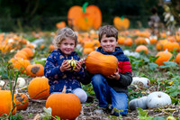 Frogs Farm Pumpkins