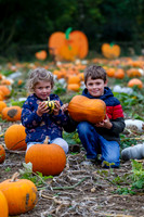 Frogs Farm Pumpkins