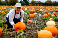 Frogs Farm Pumpkins