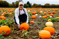 Frogs Farm Pumpkins