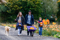 Frogs Farm Pumpkins