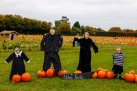 Frogs Farm Pumpkins