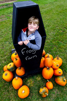 Frogs Farm Pumpkins
