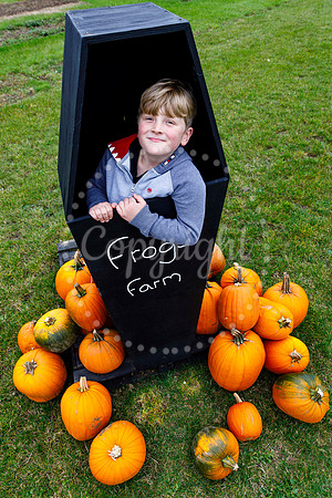 Frogs Farm Pumpkins