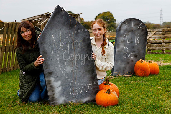 Frogs Farm Pumpkins