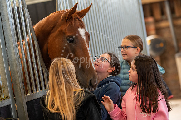 NJ NewmarketHenry Cecil Open weekend/ yards open and events on