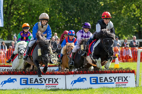 NJ NewmarketHenry Cecil Open weekend/ yards open and events on