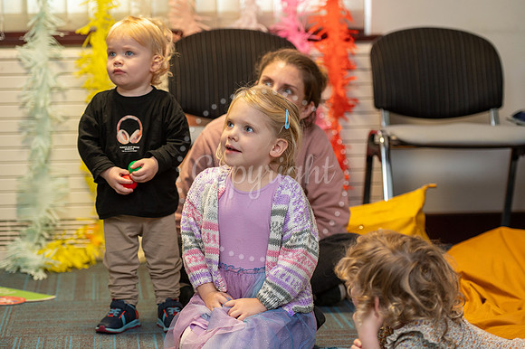 BFP Bury St Edmunds Library Poppy & Sam with Liz Fost (Bury Lit