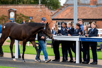 Newmarket Academy Godolphin Beacon Project Racing to School. New