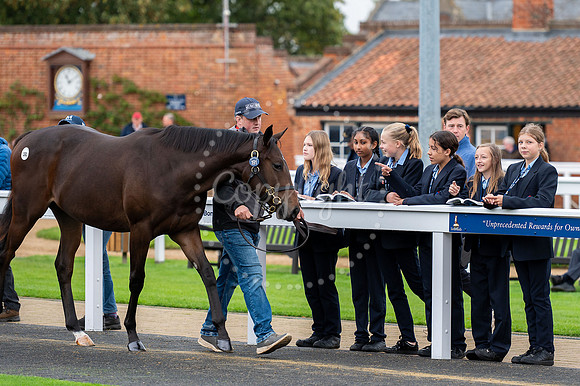 Newmarket Academy Godolphin Beacon Project Racing to School. New