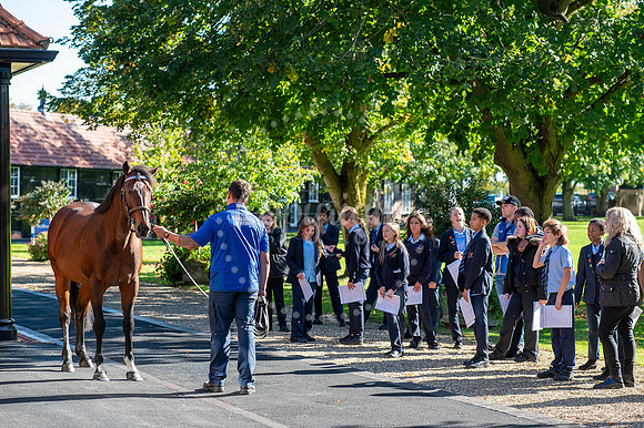 Newmarket Academy Godolphin Beacon Project Racing to School. New