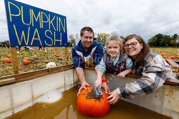 Mrs Gs Pumpkin Patch, Garboldisham