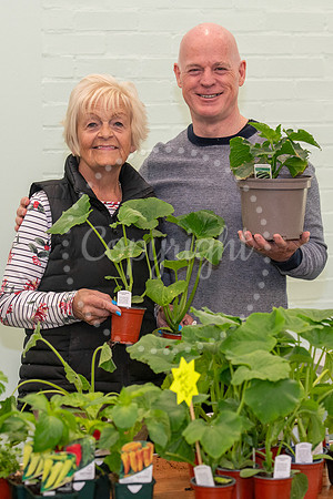 NJ Ellesmere Centre, Stetchworth. Plant sale. Picture by Mark We