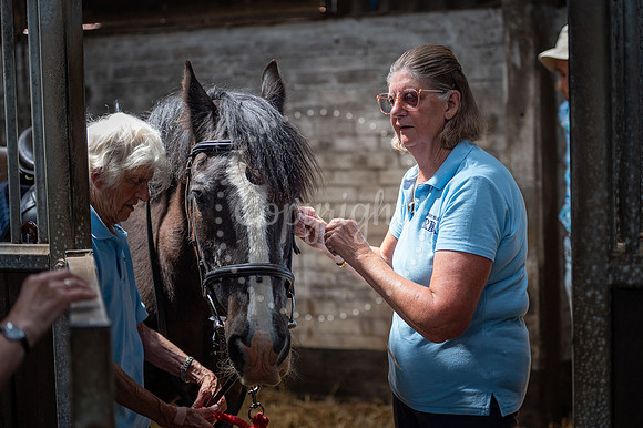 BFP Barrow Hall Stables, Church Rd, Barrow, Bury Saint Edmunds S