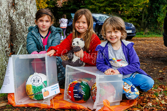 Tacolneston Pumpkin Trail