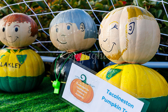 Tacolneston Pumpkin Trail