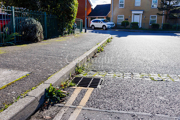 Diss Housing Estate Conditions