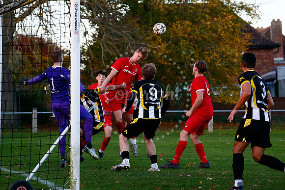 Harleston Town v Ely City