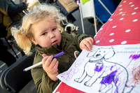 NJ Newmarket market squareNewmarket Sausage Festival Picture by