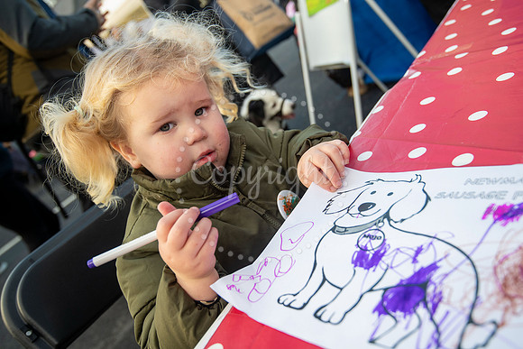 NJ Newmarket market squareNewmarket Sausage Festival Picture by