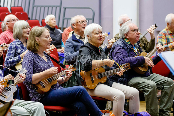 Ukele day held at the Cornhall in Diss