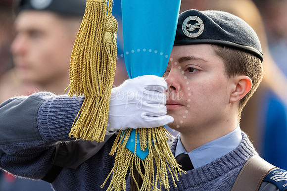 BFP War memorial, Angel Hill, Bury St Edmunds Remembrance Parad