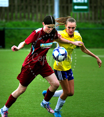Newmarket Town Ladies v Thetford Town League Cup