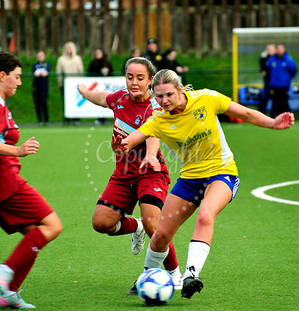Newmarket Town Ladies v Thetford Town League Cup