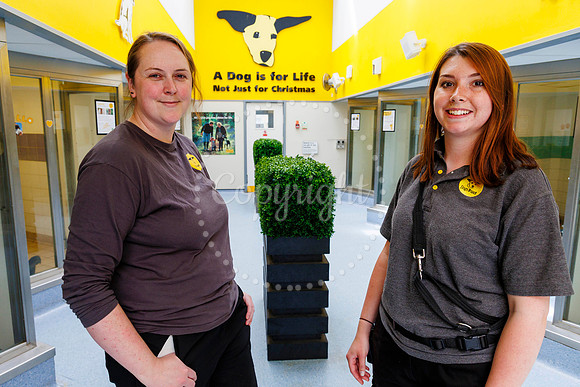 Dogs Trust Open Day