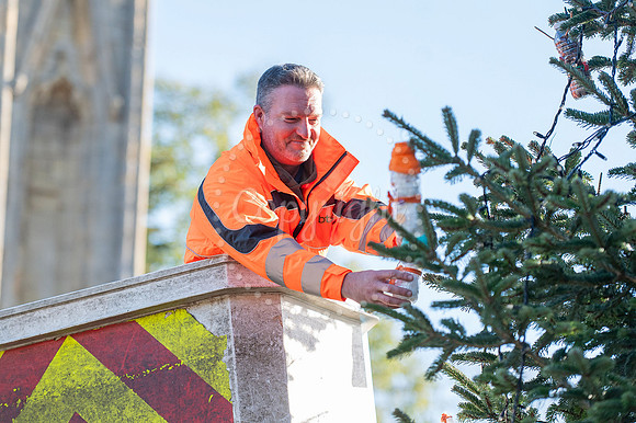 BFP Christmas tree on Angel Hill, Bury St Edmunds Christmas tre