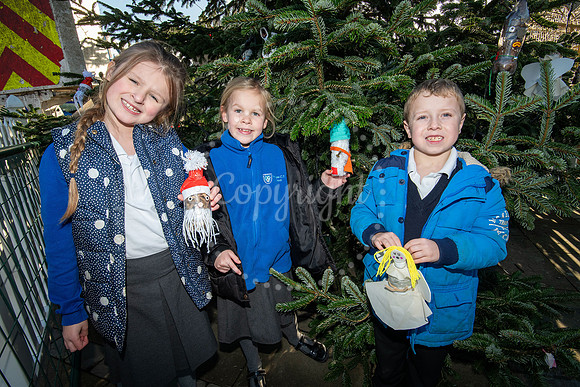 BFP Christmas tree on Angel Hill, Bury St Edmunds Christmas tre