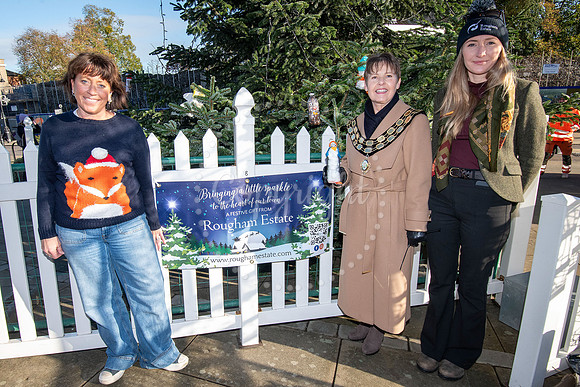 BFP Christmas tree on Angel Hill, Bury St Edmunds Christmas tre