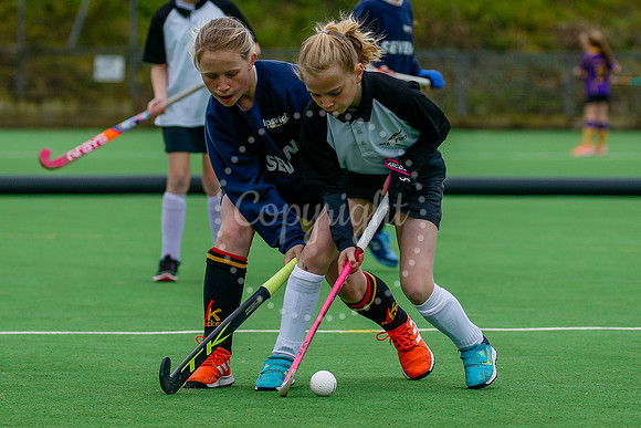 Harleston Magpies hosting the East In2Hockey Championships