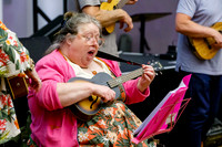 Ukele day held at the Cornhall in Diss