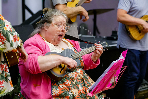 Ukele day held at the Cornhall in Diss