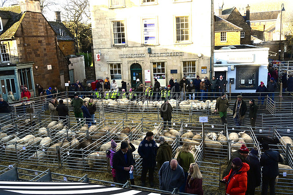 Uppingham Fatstock Show 2025