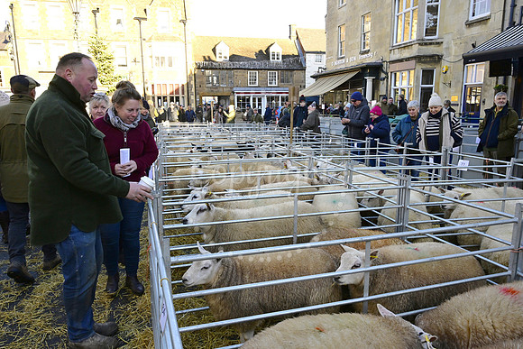 Uppingham Fatstock Show 2025