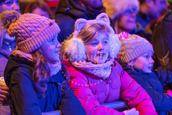NJ Newmarket Christmas lights. Picture by Mark Westley
