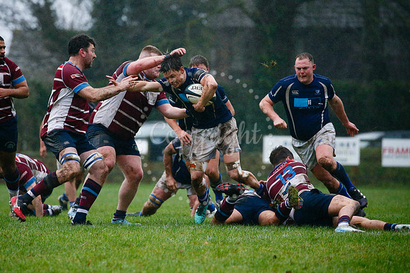Rugby action from Diss vs Shelford II