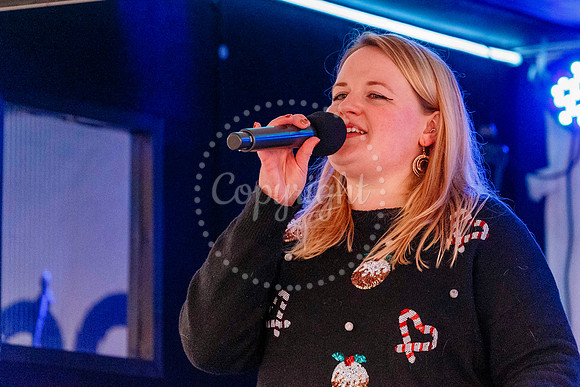 Diss Christmas Lights Switch on