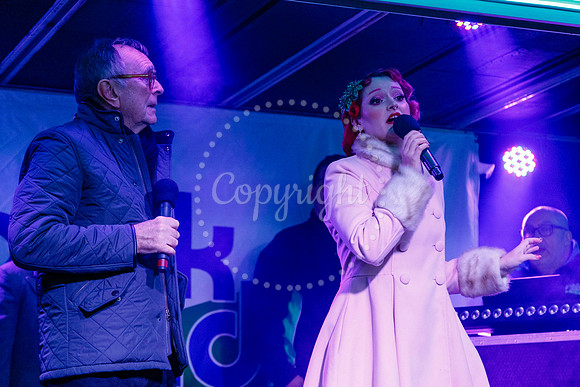 Diss Christmas Lights Switch on