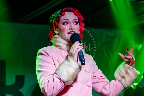 Diss Christmas Lights Switch on