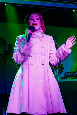 Diss Christmas Lights Switch on