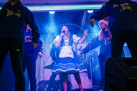 Diss Christmas Lights Switch on