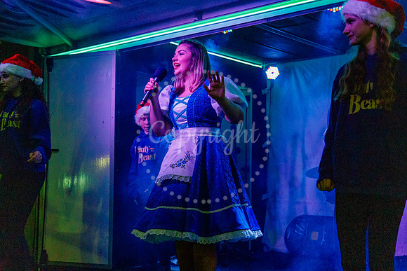 Diss Christmas Lights Switch on