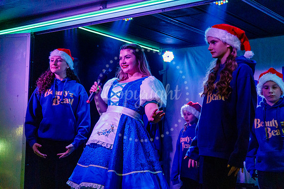 Diss Christmas Lights Switch on