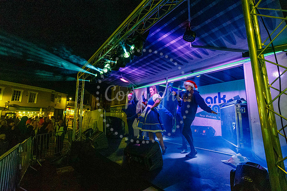 Diss Christmas Lights Switch on