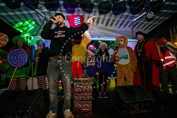 Diss Christmas Lights Switch on