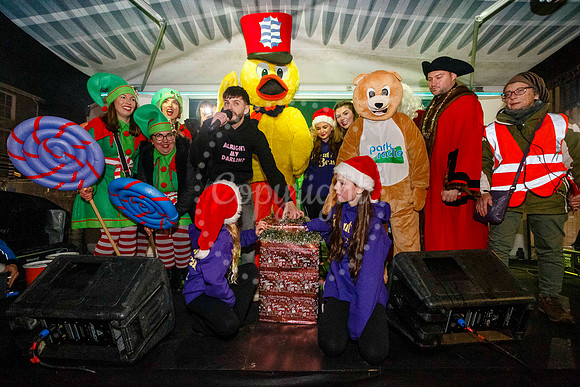 Diss Christmas Lights Switch on